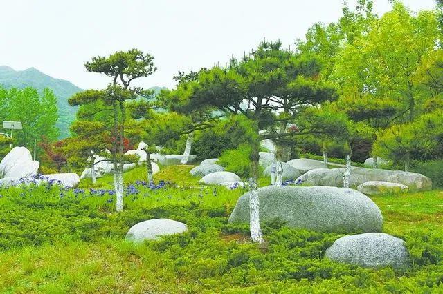 资讯